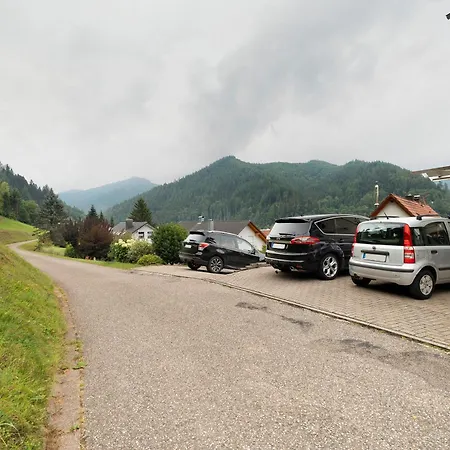 Appartement Hoefleblick *