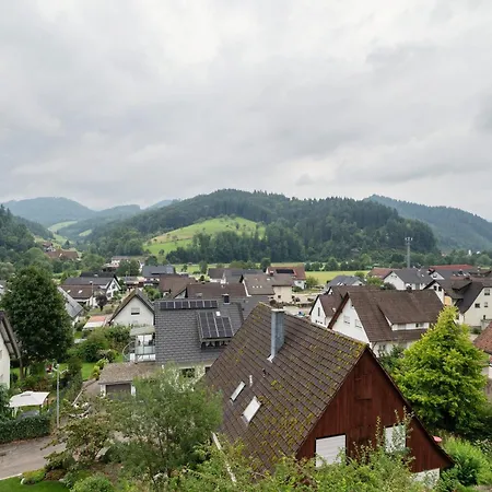 Hoefleblick Appartamento Oppenau
